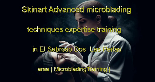 Skinart Advanced microblading techniques expertise training in El Sabroso Dos  Las Perlas area | MicrobladingTraining | MicrobladingClasses | SkinartTraining-Mexico